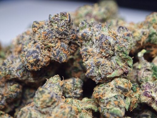 Apple Fritter Strain