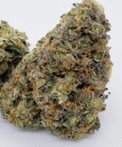 MAC 1 HYBRID