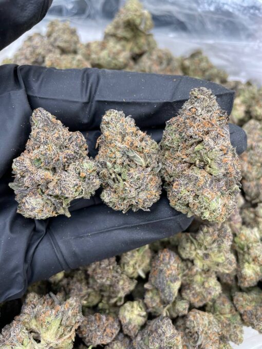 Dark Side Of the Moon