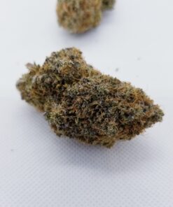 Girl Scout cookies hybrid