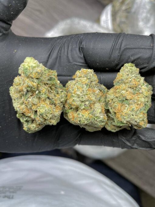 Gelato Runtz