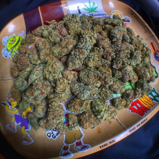 Hazey Daze Strain