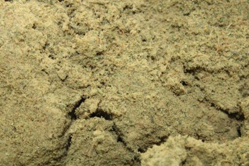 Kief