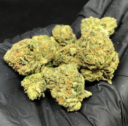 Mango Kush