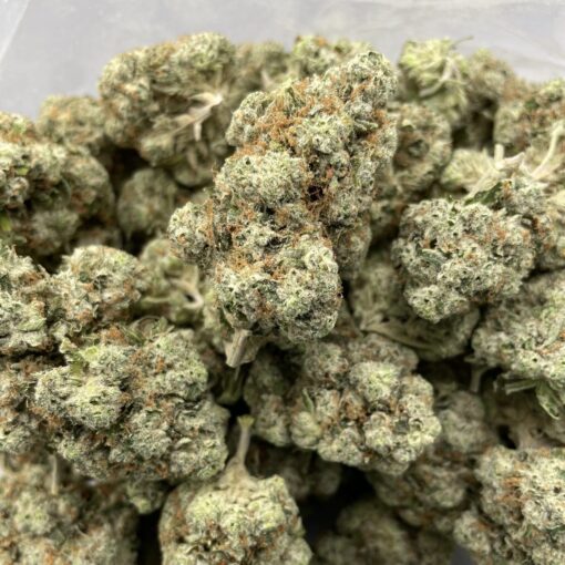 Motorbreath Strain - Image 4