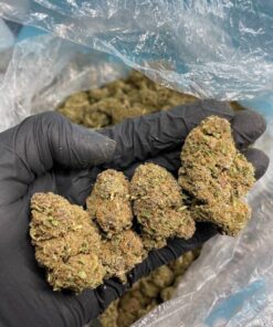 Purple Urkle