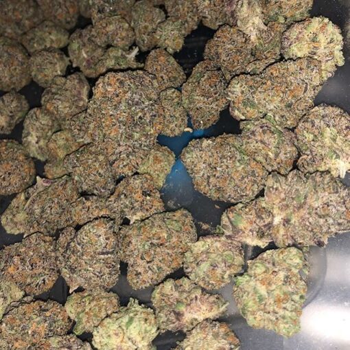 Truffle Cake Strain - Image 2