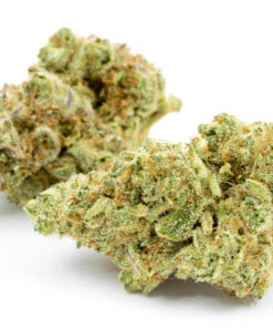Zaza Strain
