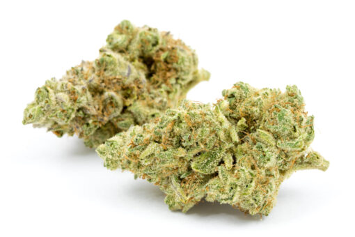 Zaza Strain