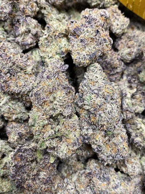 White Truffle Strain - Image 2