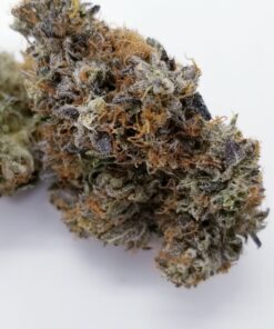 Lemon Haze