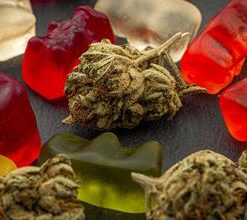Edibles