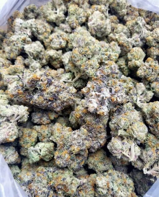 Blue Gushers Strain - Image 2