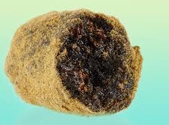 Moonrock
