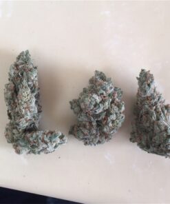 Jack Frost Strain