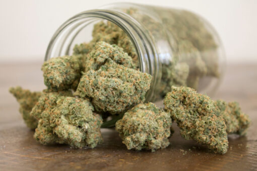 Motorbreath Strain - Image 2
