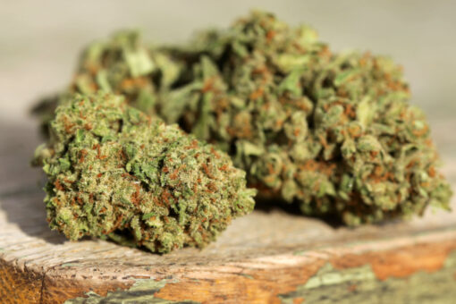 Motorbreath Strain - Image 3