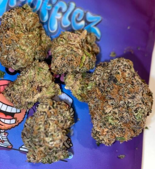 Purple Truffles Strain - Image 2