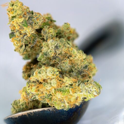 Strawberry Gelato Strain - Image 2