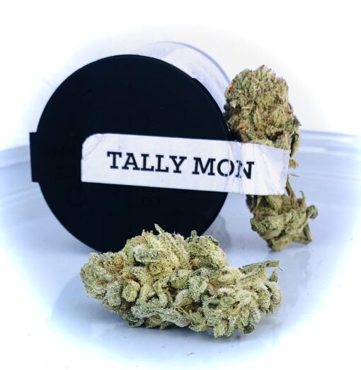 Tally Mon Strain