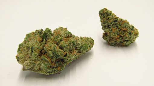 Tally Mon Strain - Image 2
