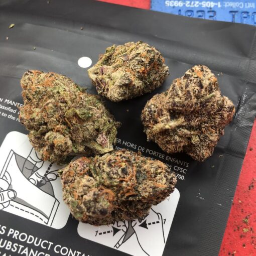 Zaza Strain - Image 2