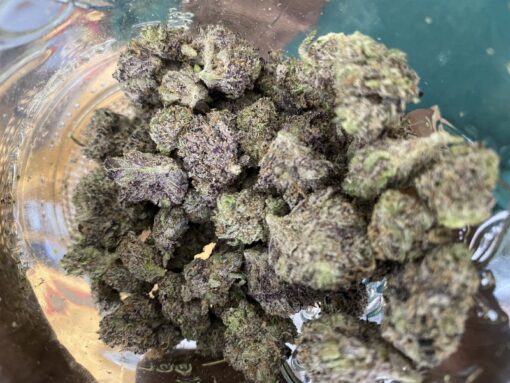 Zaza Strain - Image 3
